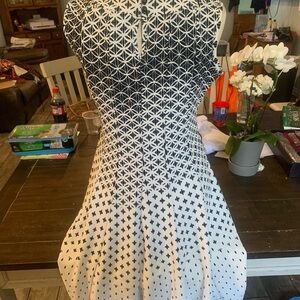 Haani Blue and White Fit and Flare Halter Dress